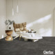 Gerflor Virtuo 55 Rigid Acoustic Latina Dark 0992